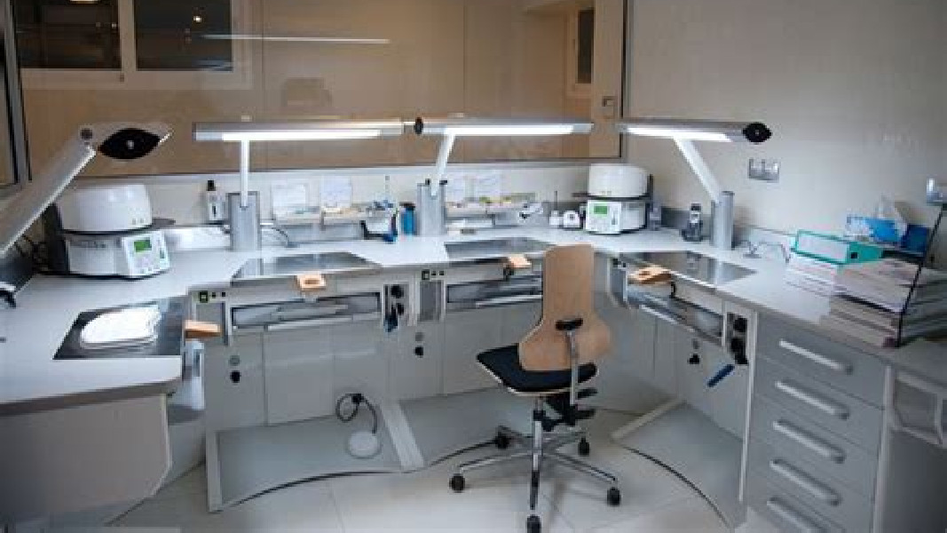 중국 China C B Dental Lab Co. Limited 회사 프로필