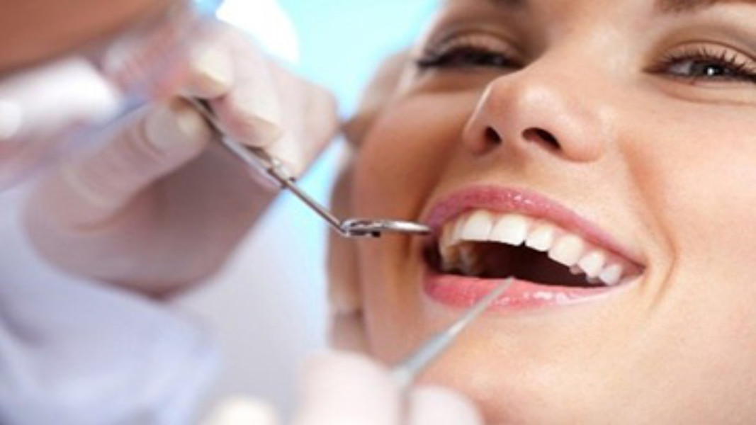 중국 China C B Dental Lab Co. Limited 회사 프로필
