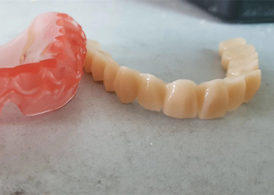 치과 연구의 현실적 디지털 데이터 OEM 인쇄된 치아의 모델들 3D명