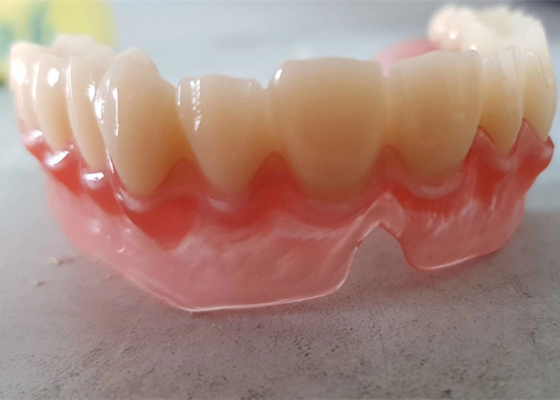 치과 연구의 현실적 디지털 데이터 OEM 인쇄된 치아의 모델들 3D명