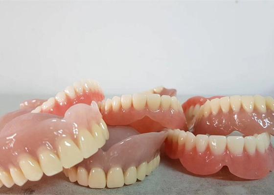 평활 표면 충돌 OEM 틀니 치아 실험실 디지털 치아의 모델들
