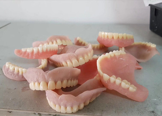 평활 표면 충돌 OEM 틀니 치아 실험실 디지털 치아의 모델들