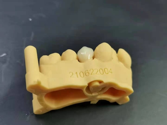OEM 3D 인쇄하는 유연 아크릴릭 틀니 치아 실험실 디지털 설계