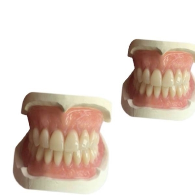 CAD 틀니 치아 실험실 캠 충돌 3D 인쇄된 치아 보철물 냇루랄 음영