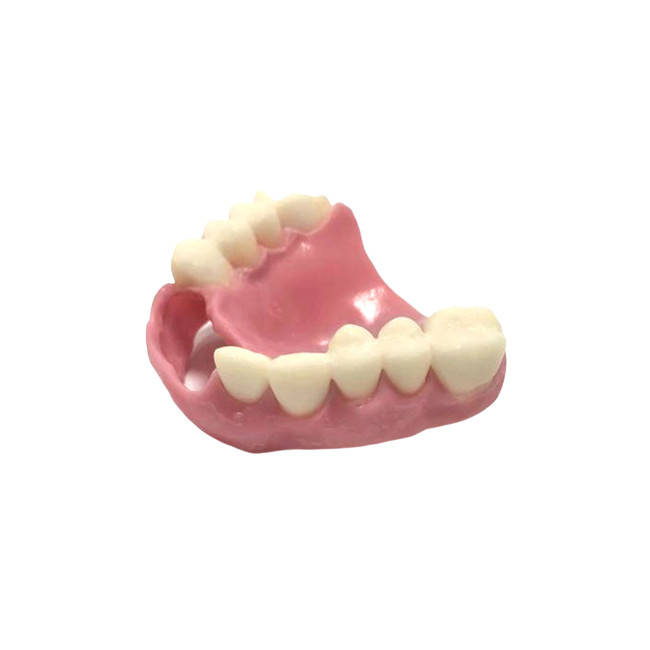 CAD 캠 3D 프린팅 틀니 자연색 틀니 치아 실험실